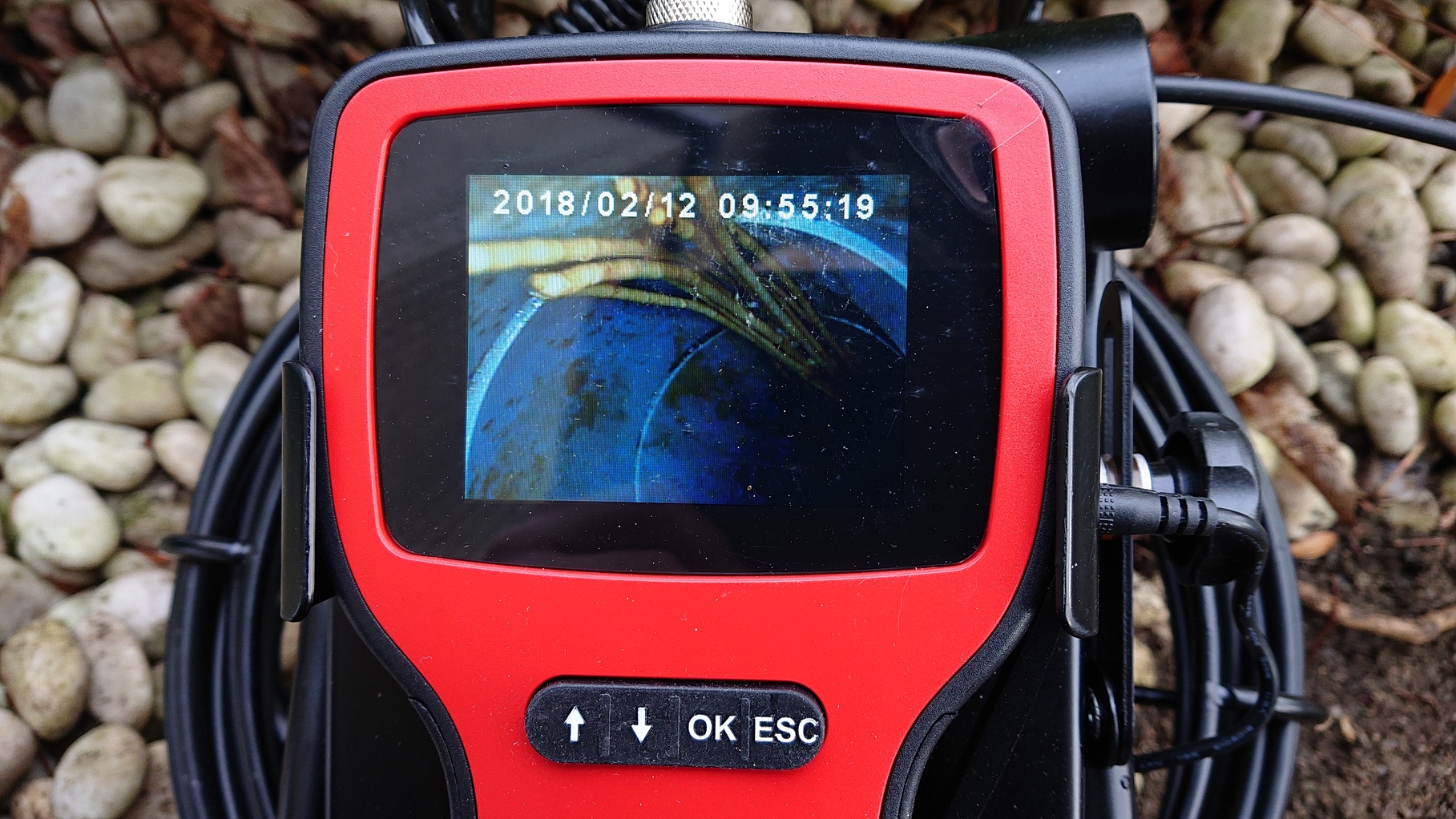 �����܂�