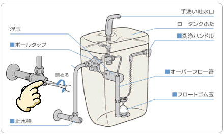 �g�C���^���N